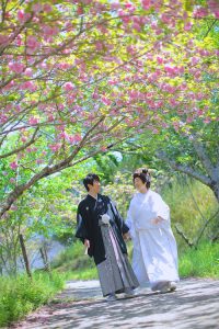 遅咲きの八重桜の中をお散歩フォト