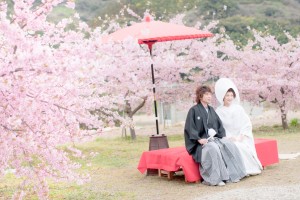 徳島で一番早く咲く桜・勝浦町のどこか～ビッグひな祭りを見に行って見つけたロケ場所