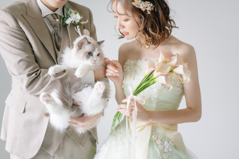 洋装でねこちゃんを抱っこしてフォトウェディング