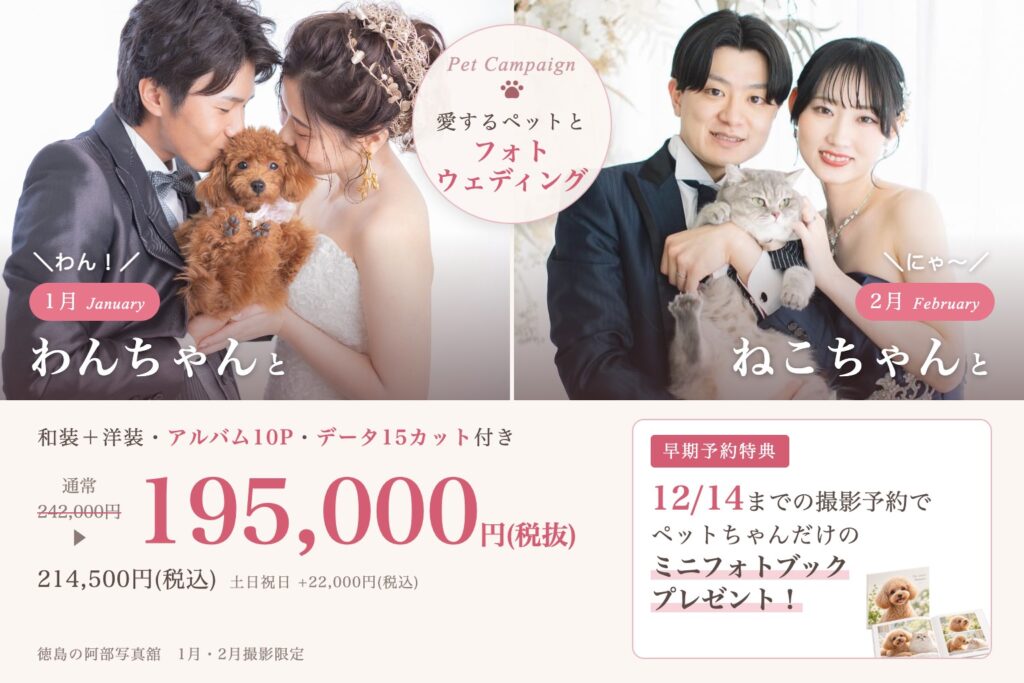徳島の阿部写真舘 1月わんちゃん・2月ねこちゃん ペットと一緒にフォトウェディングキャンペーン