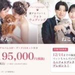 徳島の阿部写真舘 1月わんちゃん・2月ねこちゃん ペットと一緒にフォトウェディングキャンペーン